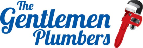 Holiday Smile Courtesy of the Gentleman Plumbers
