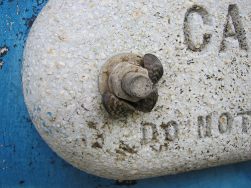 Western Canada Unites in Fight Against Invasive Species