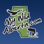 Increased Hunting, Fishing Fees Aid Outdoor Programs