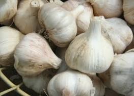 Various Products Containing Garlic Powder Recalled Due to Salmonella
