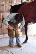 Horse Hoof Care