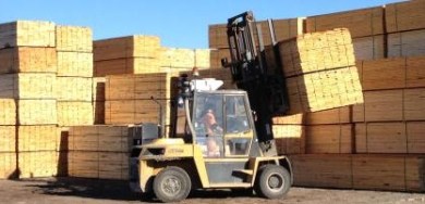 Spray Lakes Sawmill Forest Management Plan