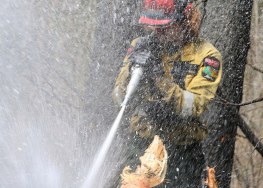 Provincewide Fire Ban in Effect