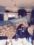 Bid on a Horse at Spruce Meadows and Support Literacy for Life in High River