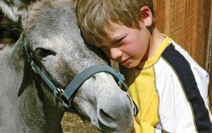 Experience Alberta Agriculture During Open Farm Days