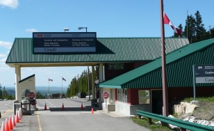 Importing Horses from the United States