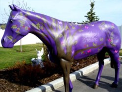 Horse for Hope