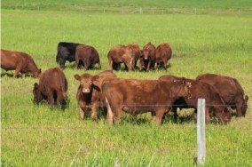 Alberta supports producers as they manage challenging growing conditions