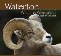 Waterton Wildlife Weekend 2015
