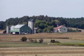Farmers Continue to Bear the Brunt of Red Tape