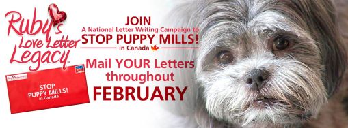 Ruby’s Love Letter Legacy Fighting to End Puppy Mills in Canada