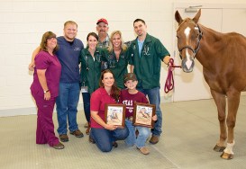 A Boy and His Horse: The Large Animal Hospital helps restore a special bond