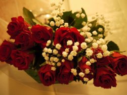 Commitment Pays Off for Canadians This Valentine’s Day