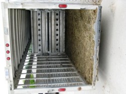 Edmonton RCMP Livestock Investigation Unit Charge Man in Seizure of 84 Horses 