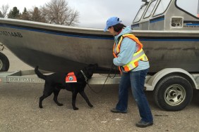 Province Gears Up to Protect Alberta Waters from Invasive Species