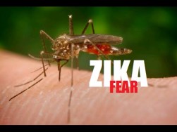 Dispelling Rumours around Zika and Microcephaly