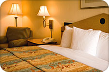 Bedbugs: Avoid bringing back unwanted vacation souvenirs