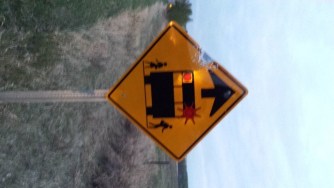 The High River RCMP is Seeking Assistance in Identifying Vandals