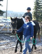 Care of the Aging Horse