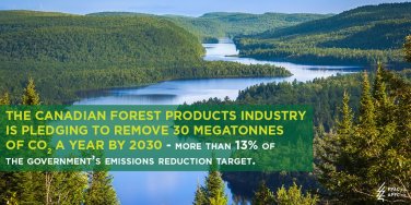 Alberta Forest Products Association Applauds 30 by 30 Climate Change Challenge
