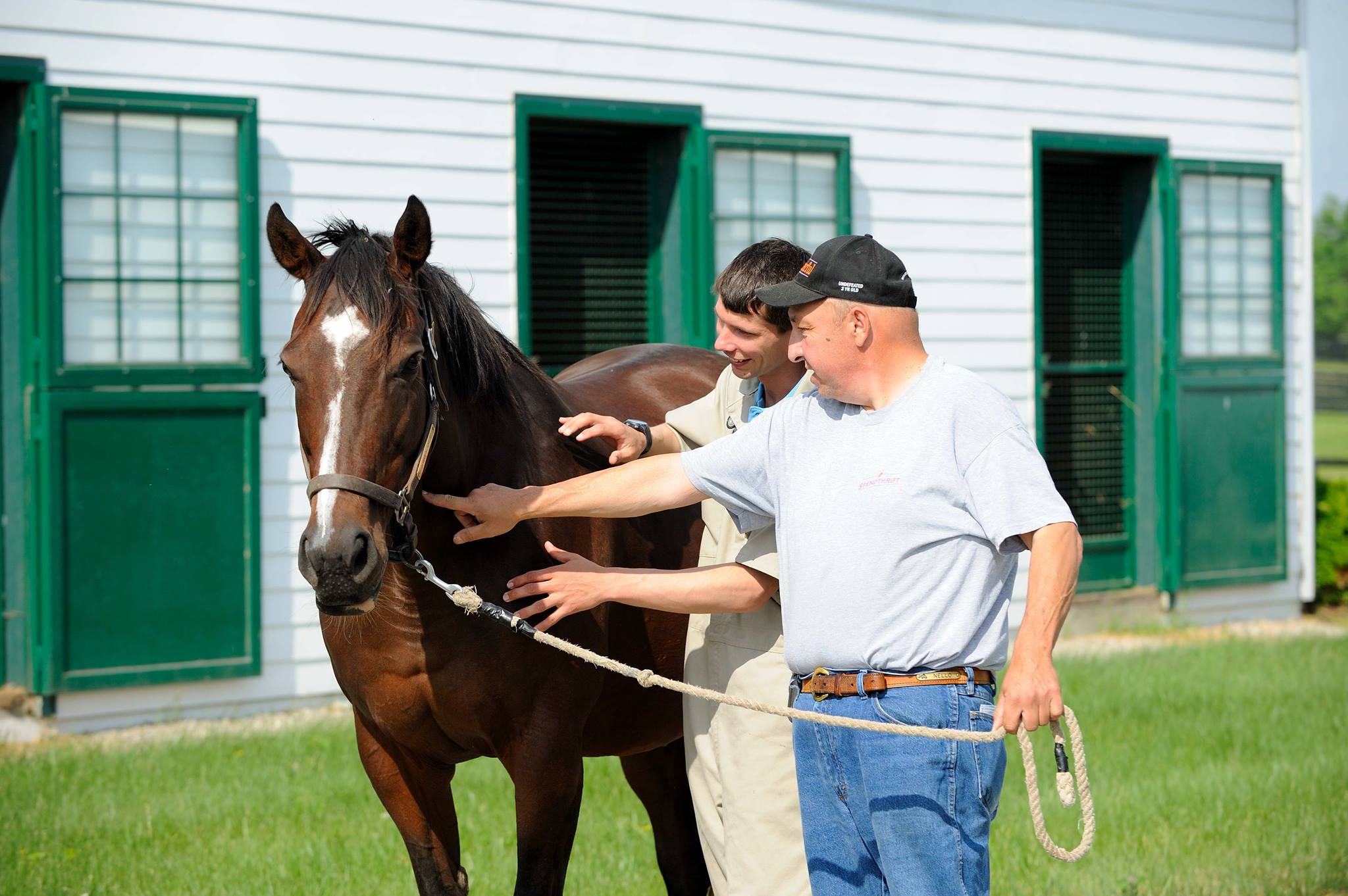 Equine Disease Communication Center Launches Outbreak Alert E-mail Service