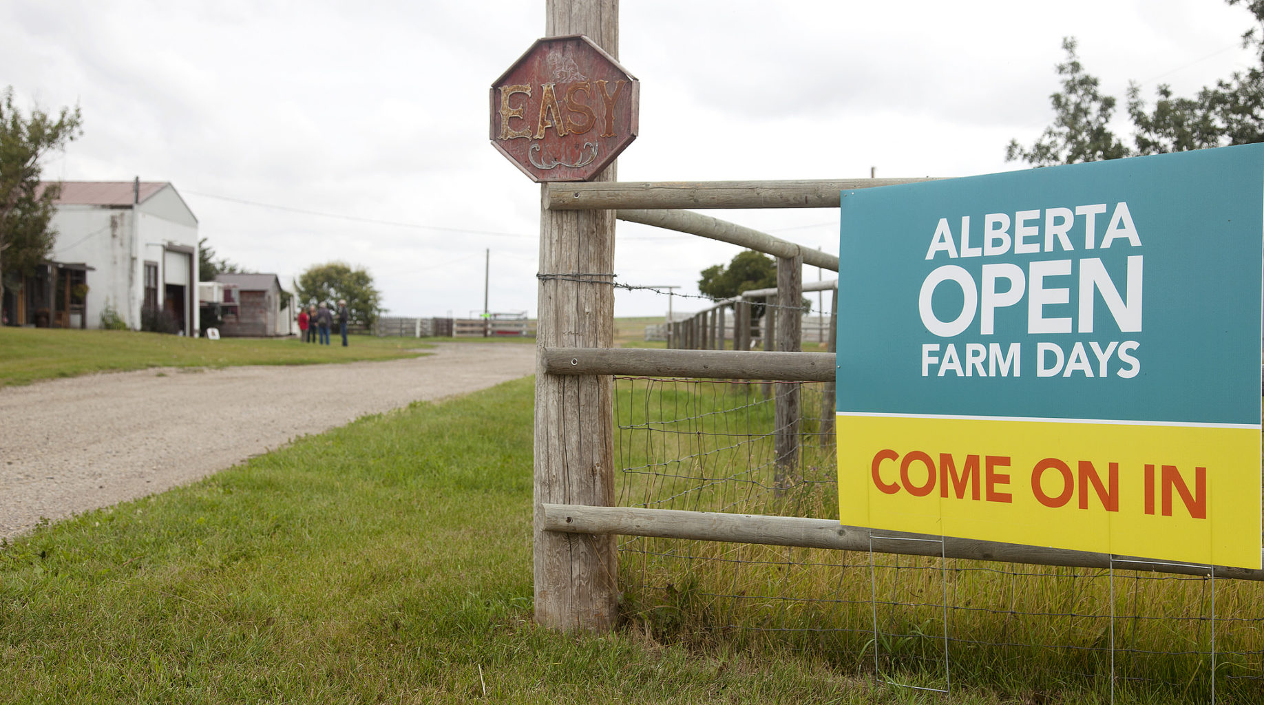 Open Farm Days Will Harvest Fun and Memories