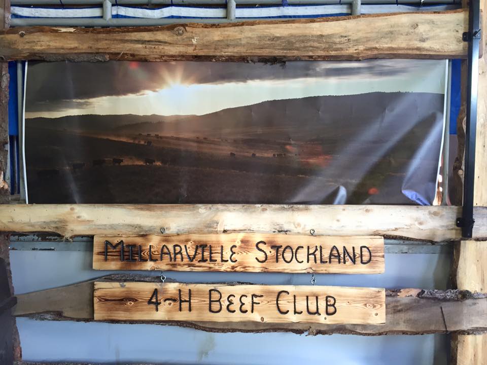 Another Year is Under Way For the Millarville-Stockland 4-H Beef Club