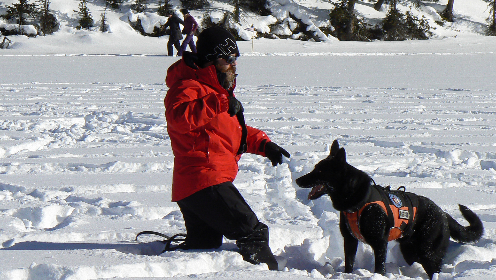Avalanche Awareness Rules the Day