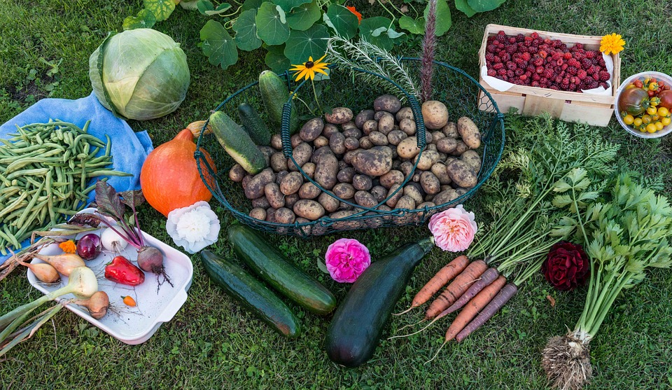 Solutions & Substitutions by Reena: Garden Vegetables