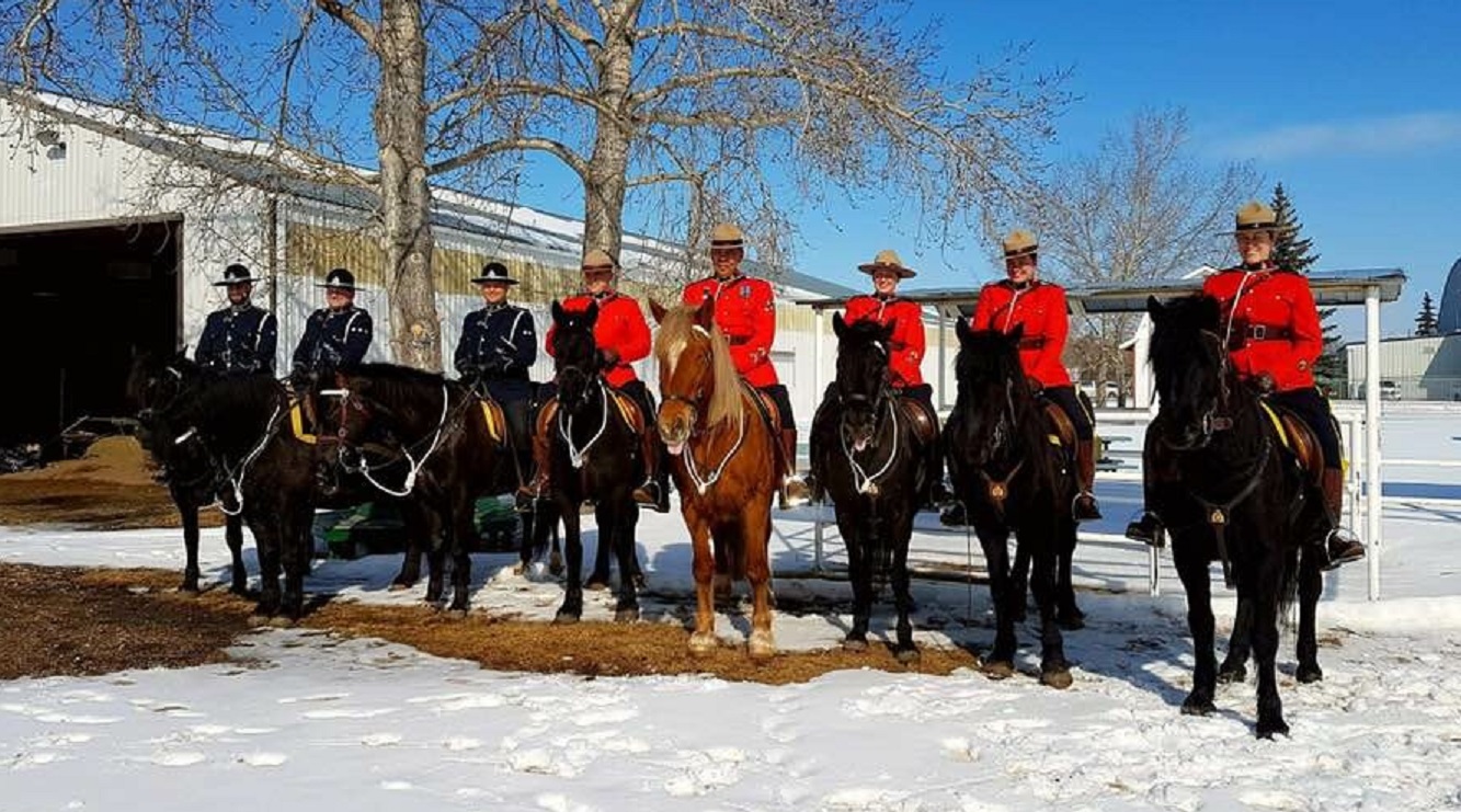 Mounted Riders Back in the Saddle