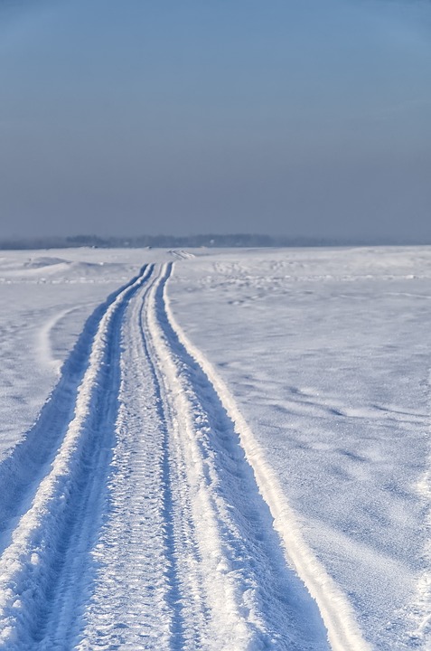 Vulcan RCMP Make Arrest Following Snowmobile Chase
