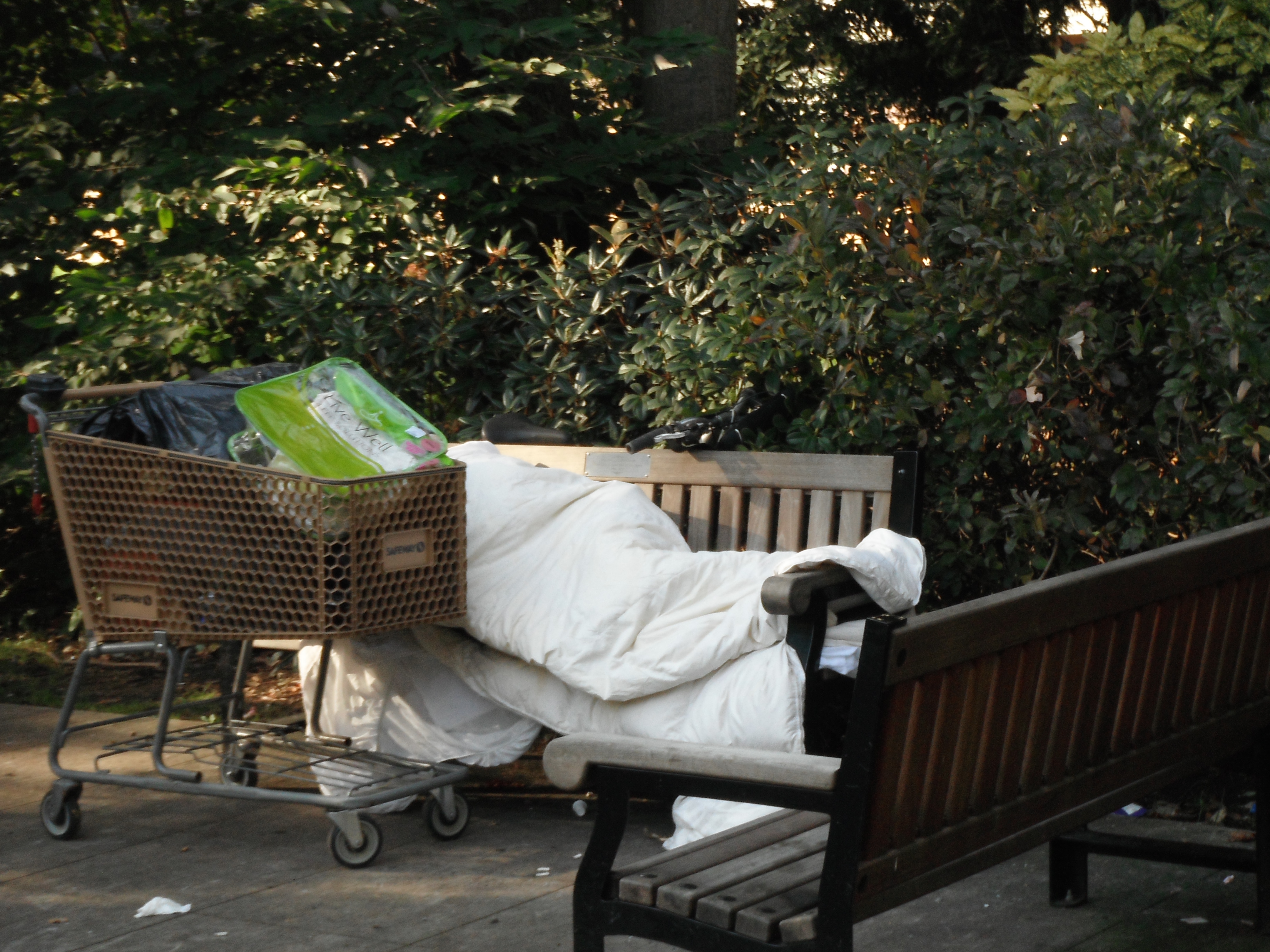Reaching Home: Canada’s Homelessness Strategy