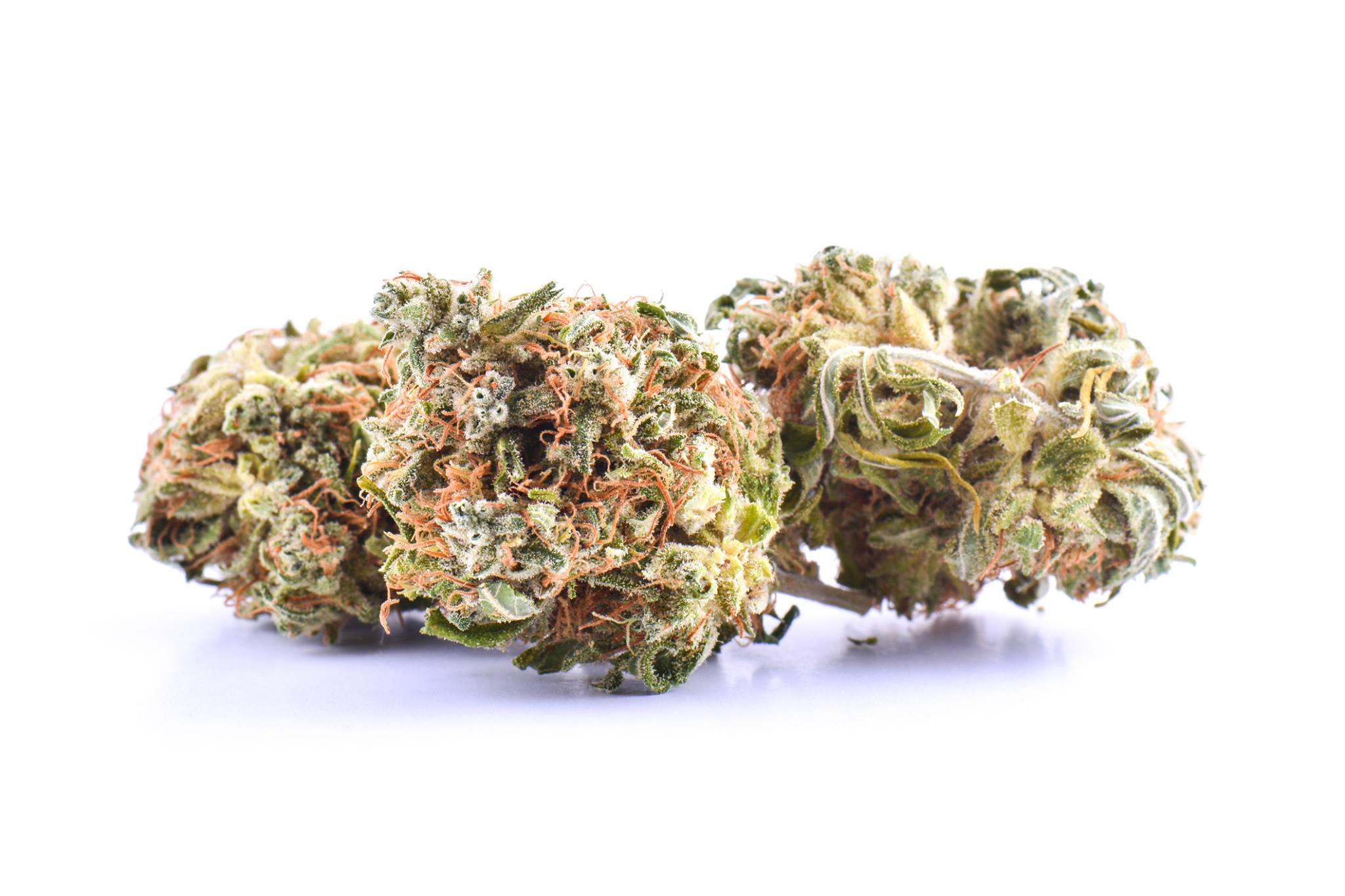 Turner Valley Cannabis Survey