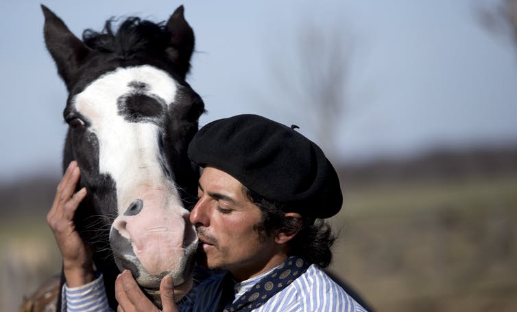 Touch Forms the Foundation of the Powerful Human-horse Relationship