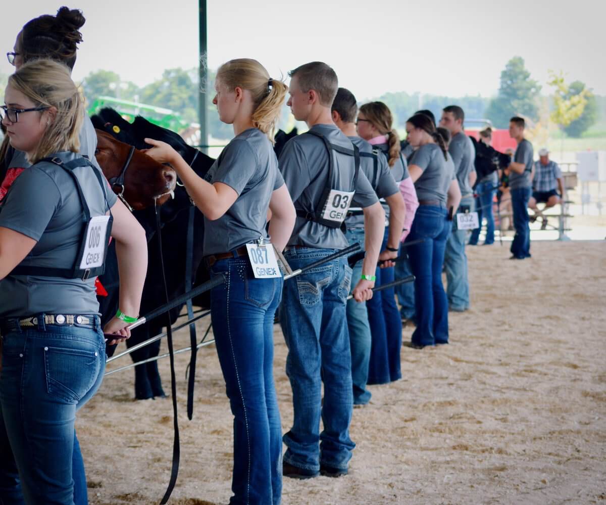 Canadian Junior Angus Showdown 2018 Results