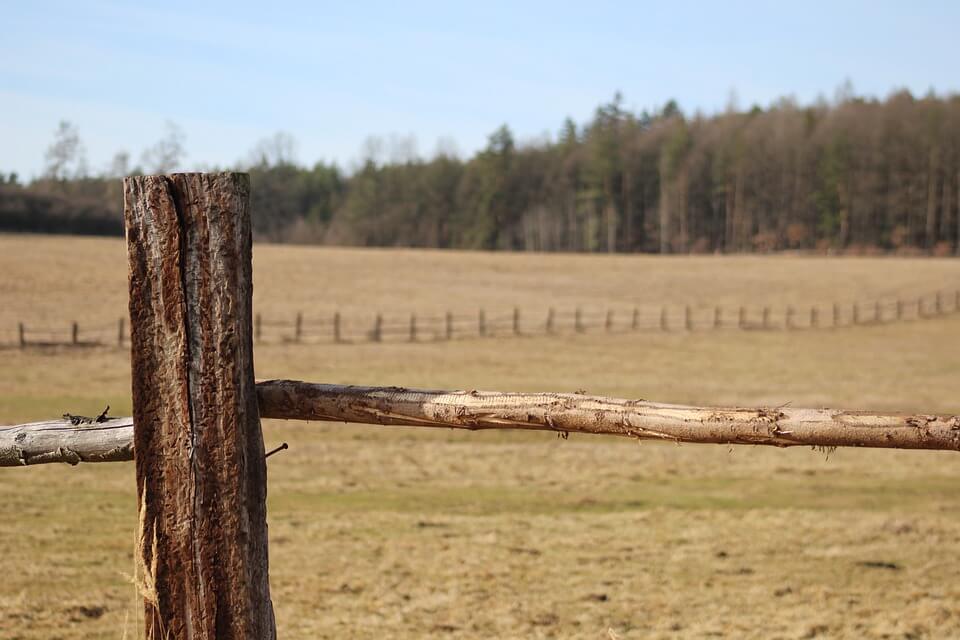 United Conservatives Release Recommendations to Combat Rural Crime