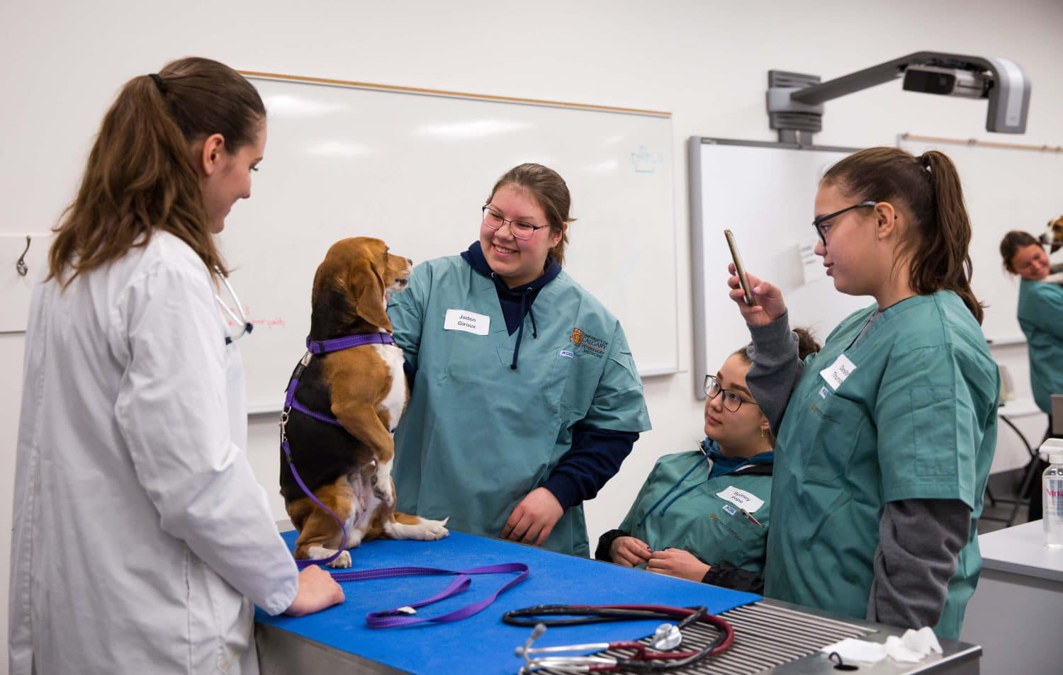 UCalgary Shares Weird (and Wonderful!) Science of Caring for Animals