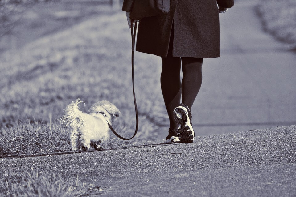 AHS Weekly Wellness: Walking for Fitness