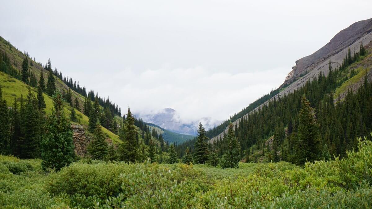 Bighorn Country Public Information Sessions: Statement from Minister Phillips