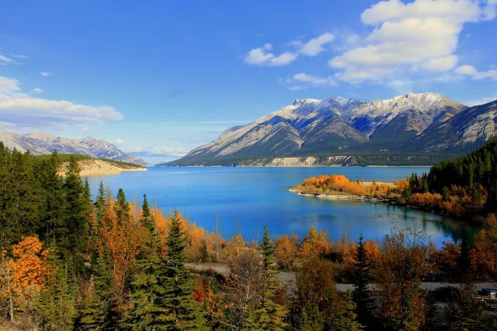 Telephone Town Hall for Bighorn Country
