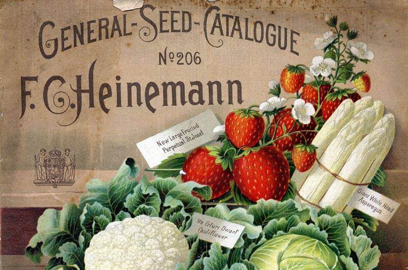 Millarville Horticultural Club: Seed Catalogues