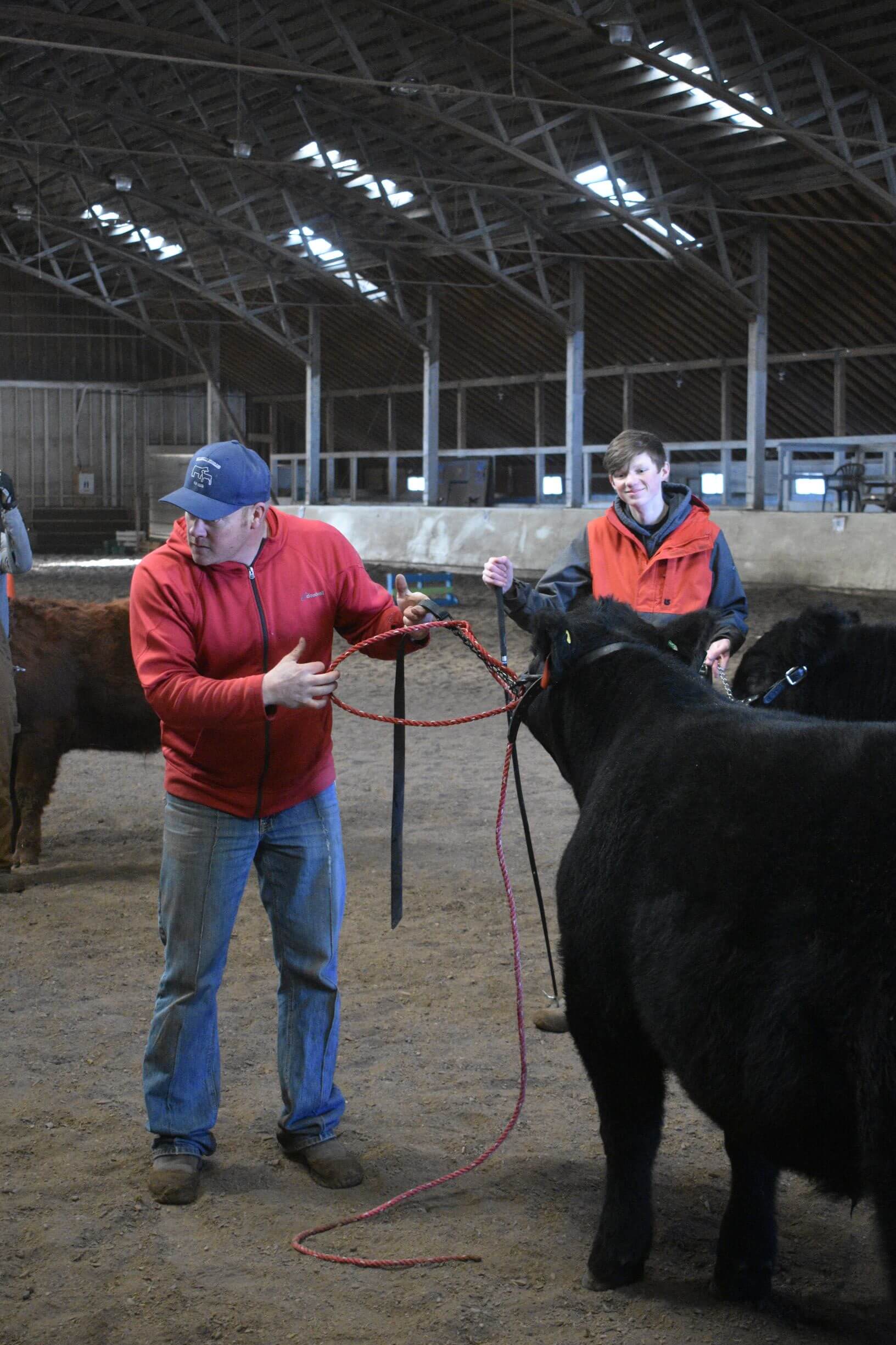 January and February Happenings with The Millarville-Stockland 4-H Beef Club