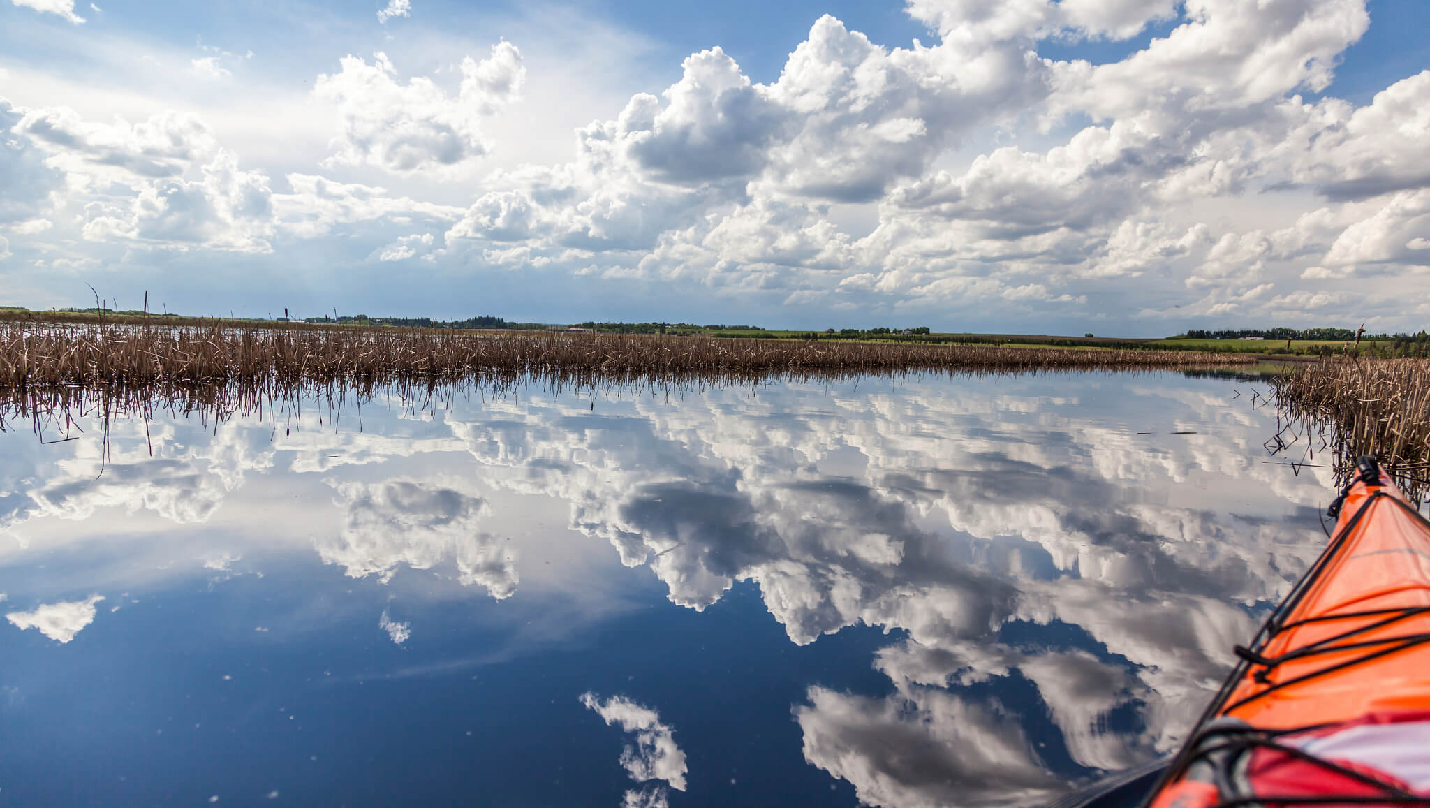 Investing in the Future of Lois Hole Park