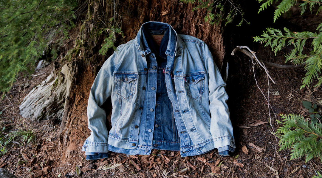 Levi Strauss & Co. and Hohenstein Collaborate to Bring Safer Chemicals to the Apparel Industry