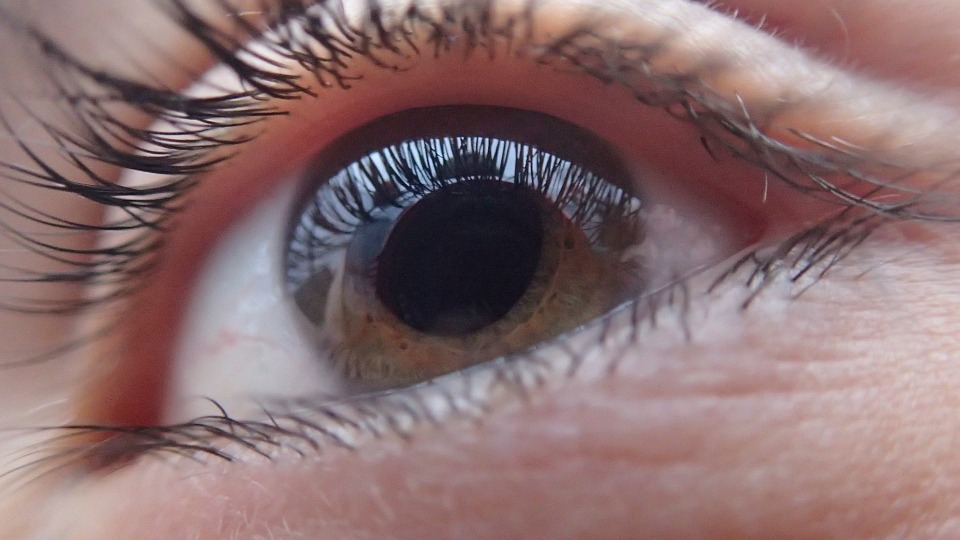 AHS Weekly Wellness: Diagnosis, Treatment of a Common Eye Disease