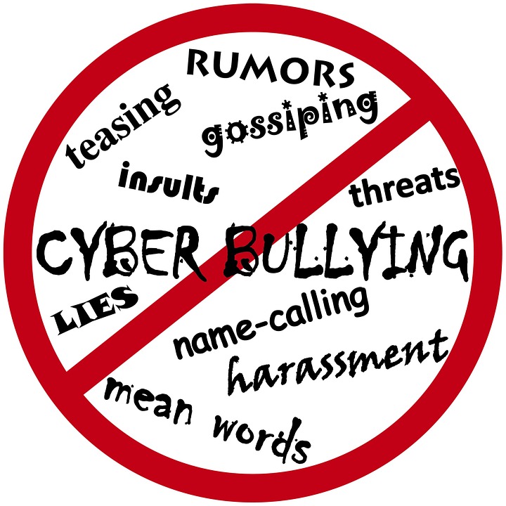 AMA Comment on Cyber-bullying of Minister
