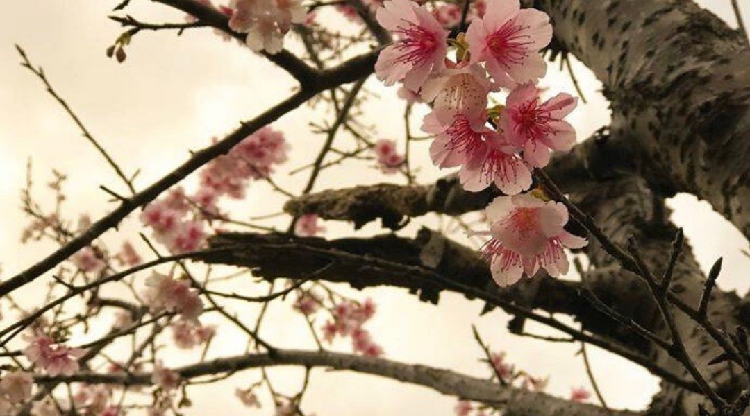 March Equinox: All You Need to Know
