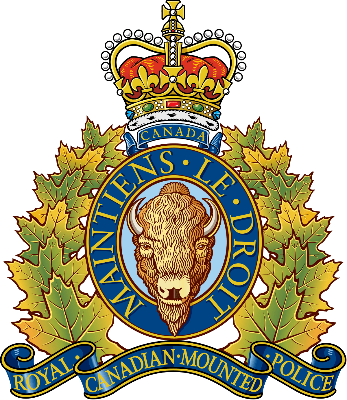 Turner Valley RCMP Crime Survey