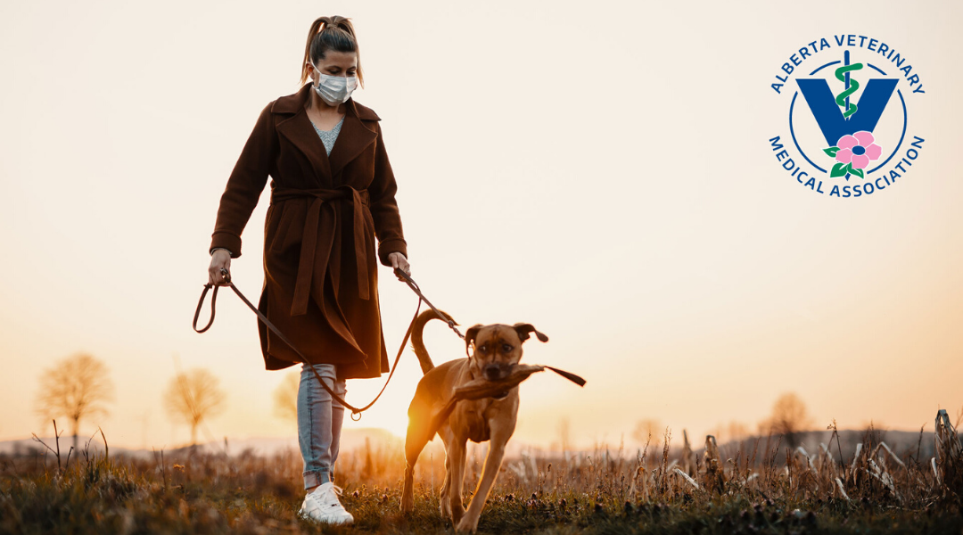 Alberta Veterinary Practices – Accessing Veterinary Care during COVID-19