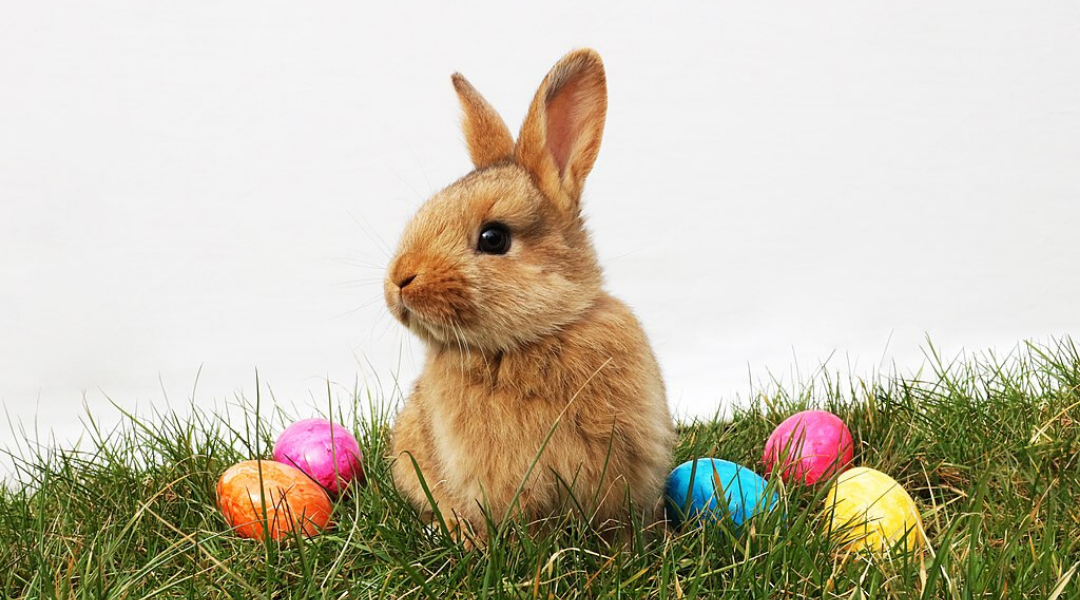 Easter Colouring Pages for All Ages